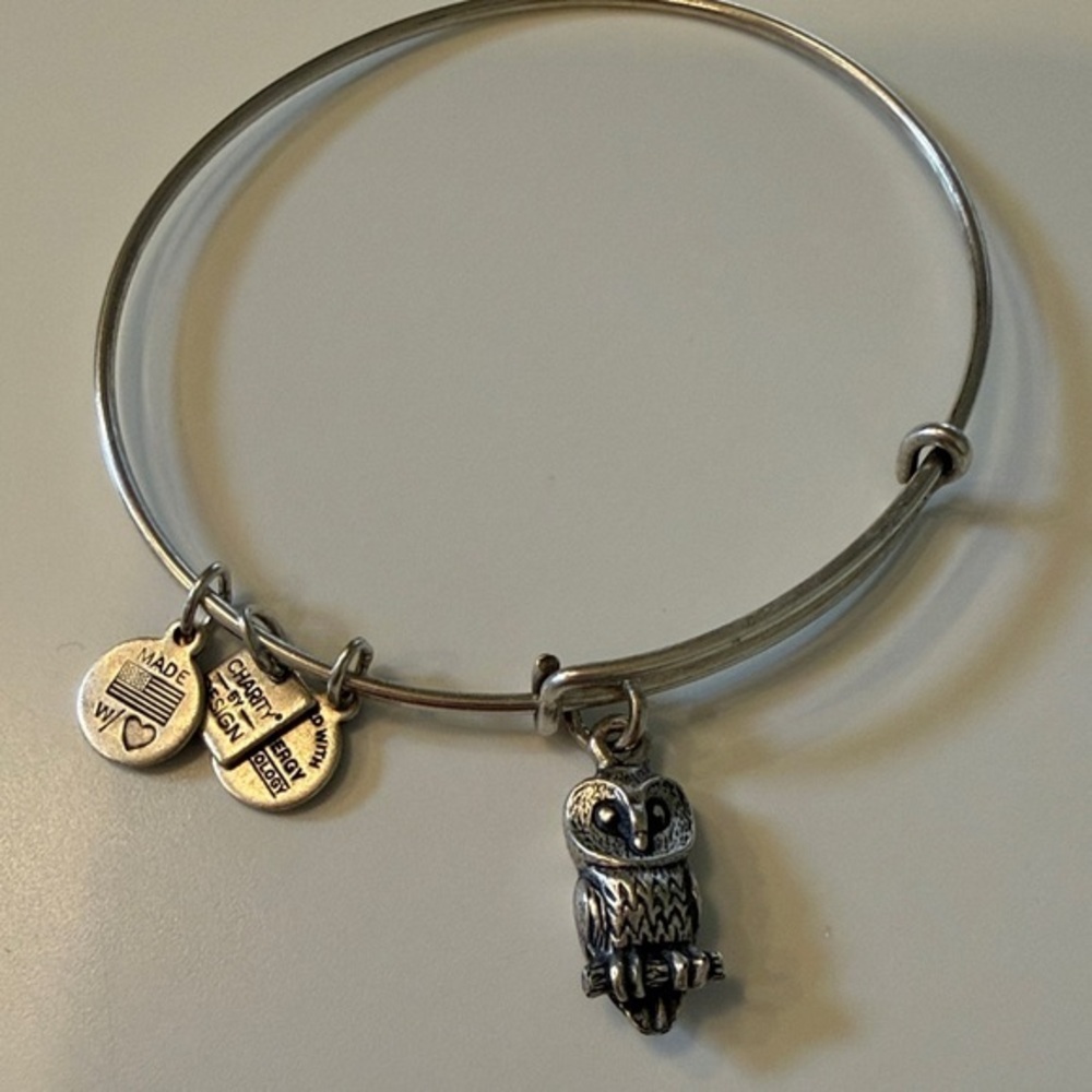 Alex and Ani Silver Charm Bangle